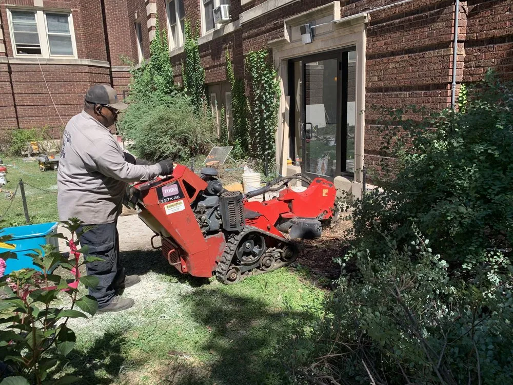 Trusted landscape design in Chicago, IL - Mingo & Sons Lawn & Landscape