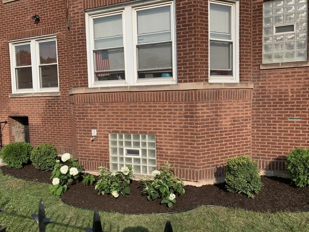 Reliable yard maintenance in Chicago, IL by Mingo & Sons Lawn & Landscape