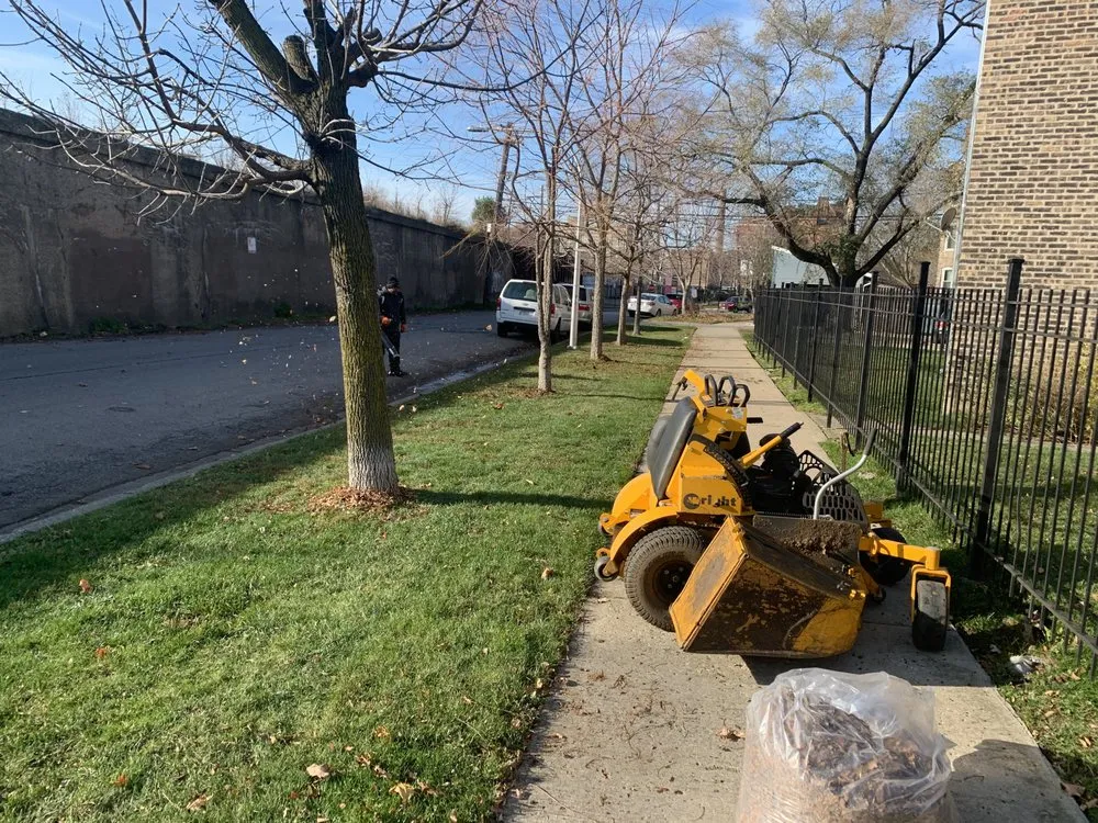 Top-rated yard cleanup service experts serving Chicago, IL - Mingo & Sons Lawn & Landscape