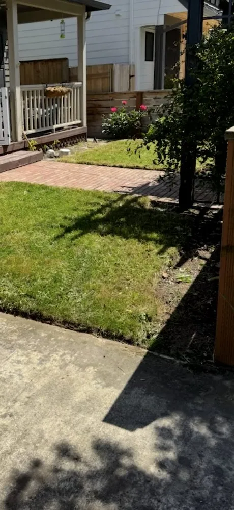 Reliable landscape design in Portland, OR - Mingo Landscape