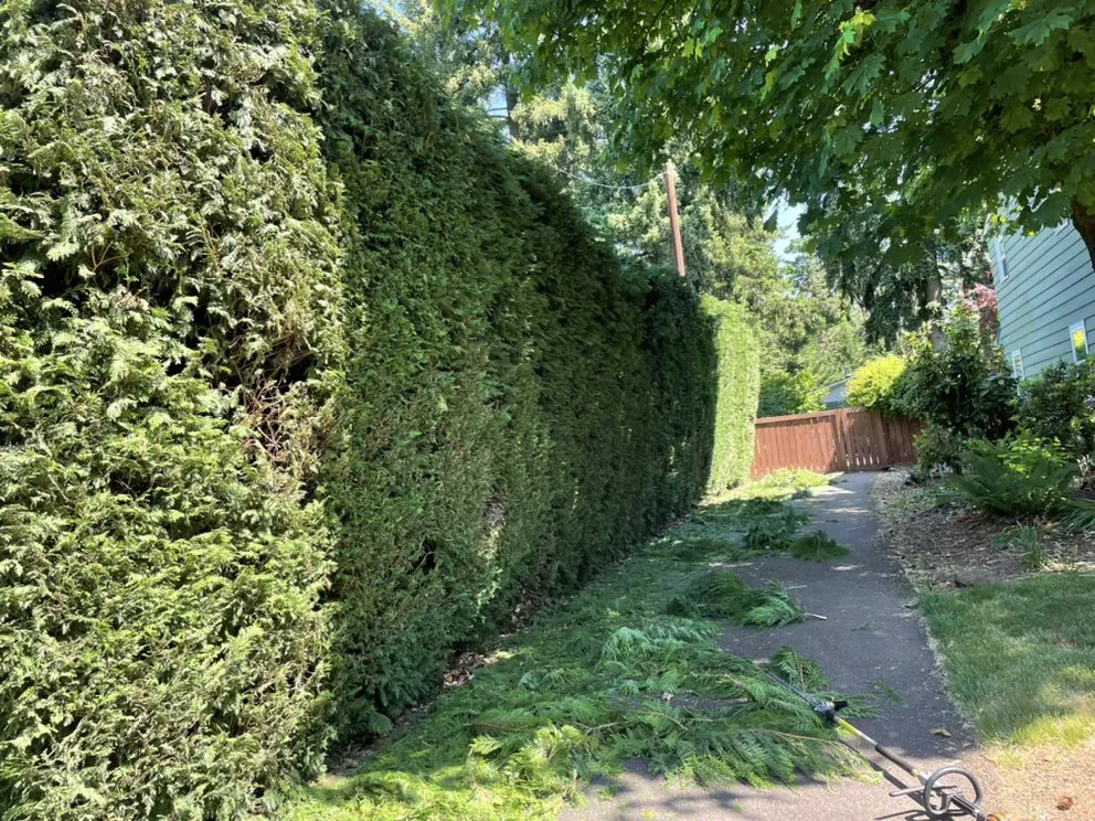 Reliable lawn mowing service in Portland, OR by Mingo Landscape