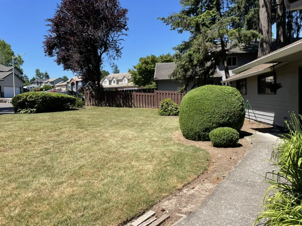 Local yard cleanup service in Portland, OR - Mingo Landscape