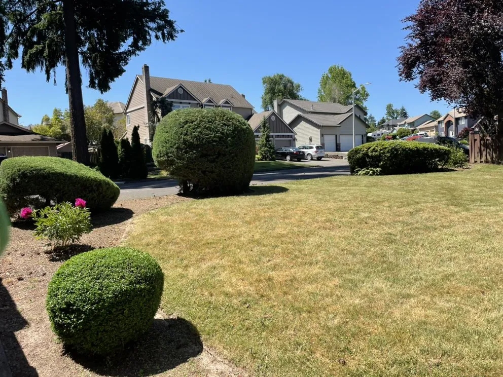 Affordable landscape design with custom design in Portland, OR by Mingo Landscape