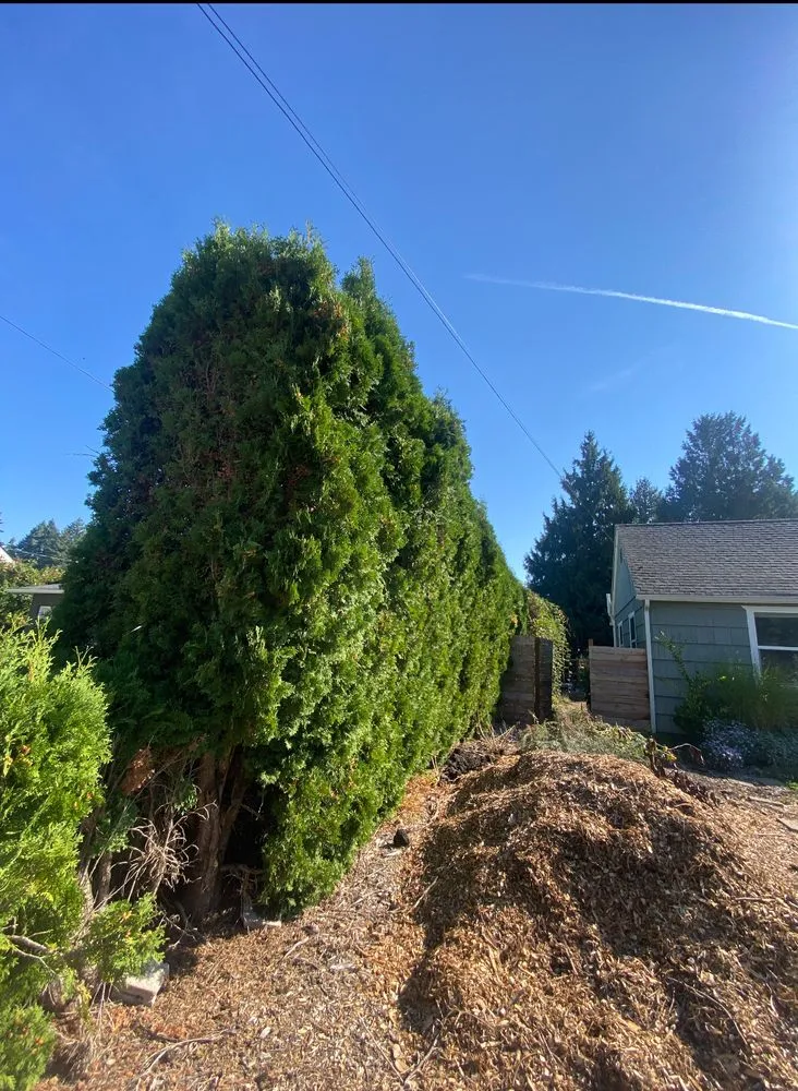 Affordable residential landscaping with custom design in Portland, OR by Mingo Landscape