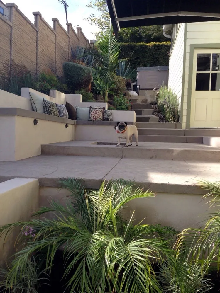 Affordable lawn care service in Mission Viejo, CA by Ming's Earth Design