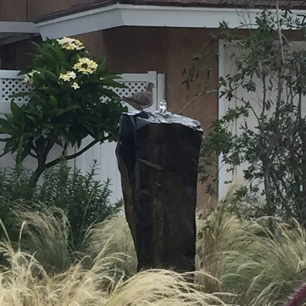 Top-rated residential landscaping in Mission Viejo, CA - Ming's Earth Design