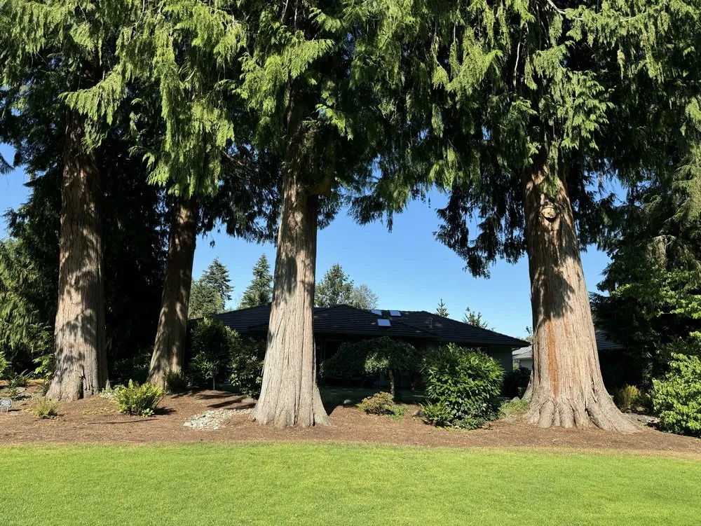 Affordable yard cleanup service in Puyallup, WA - Minh’s Landscaping and Gardening Service