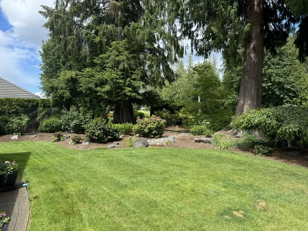Professional outdoor landscaping in Puyallup, WA by Minh’s Landscaping and Gardening Service