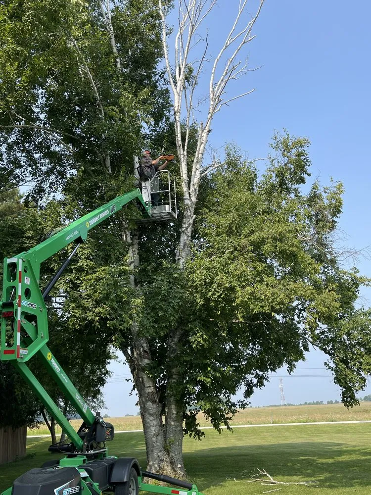 Affordable landscape design in Manistique, MI - Mini Earthworks