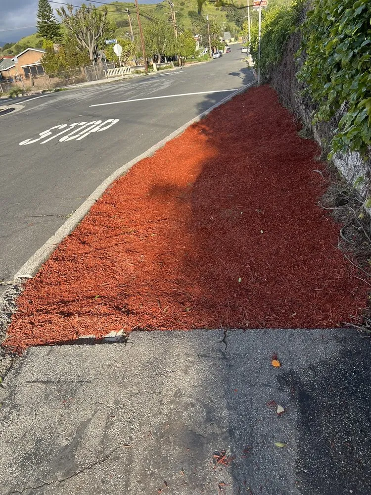 Professional garden landscaping near you across San Fernando Valley, CA - Mini Garden Projects