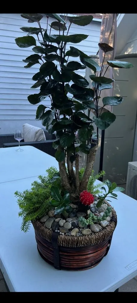 Professional lawn care service experts serving San Fernando Valley, CA - Mini Garden Projects