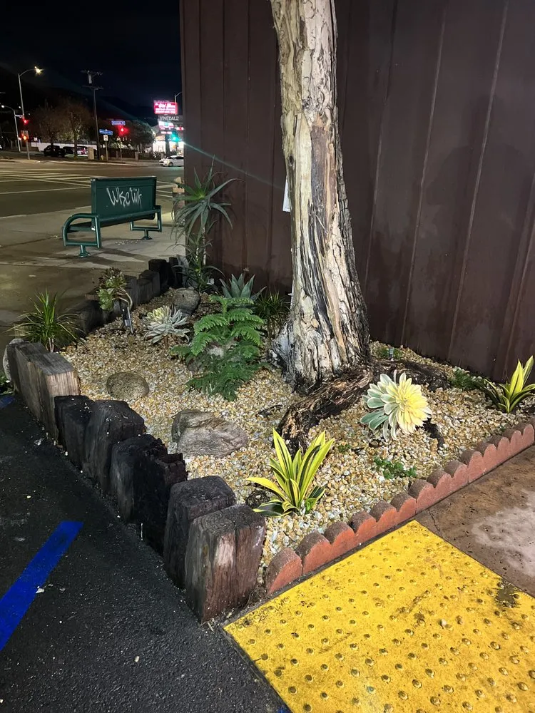 Trusted yard cleanup service in San Fernando Valley, CA - Mini Garden Projects