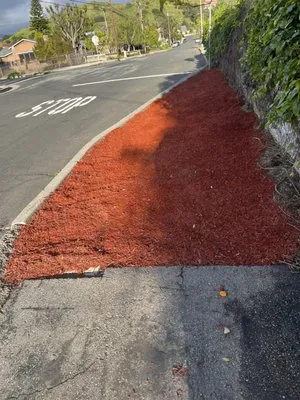 Mini Garden Projects Logo