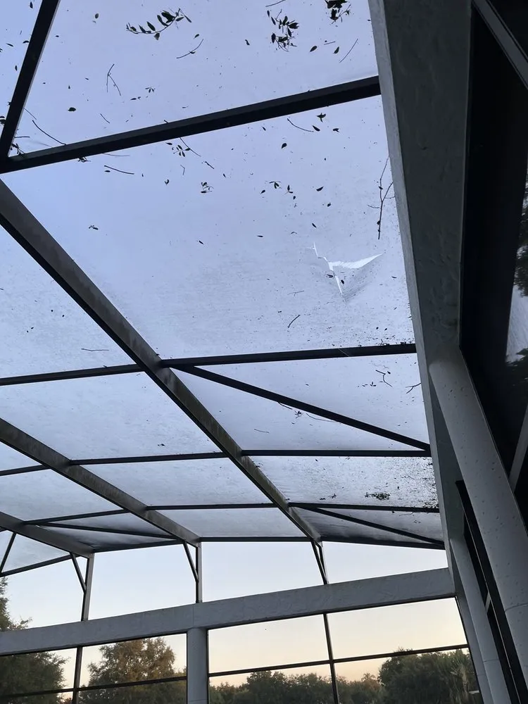 Local yard cleanup service with custom design across Ocoee, FL - Mini Moe’s Tree Service