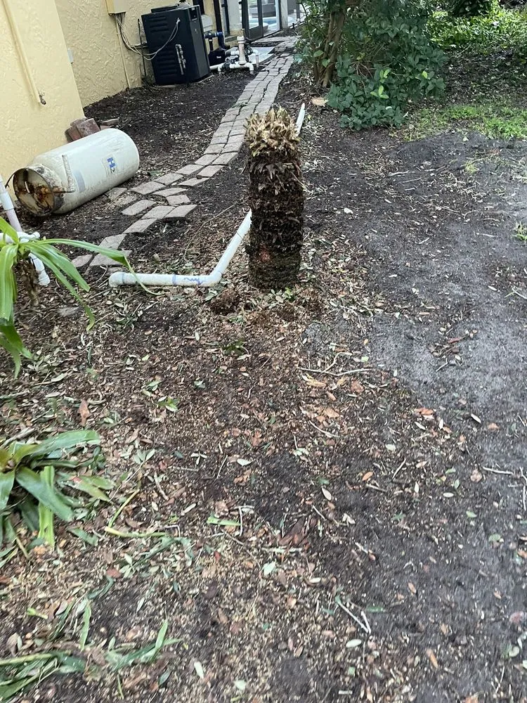 Top-rated outdoor landscaping in Ocoee, FL by Mini Moe’s Tree Service