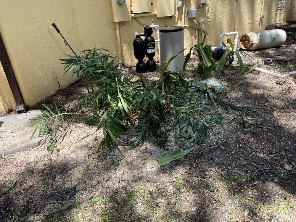 Affordable garden landscaping for beautiful yards in Ocoee, FL by Mini Moe’s Tree Service