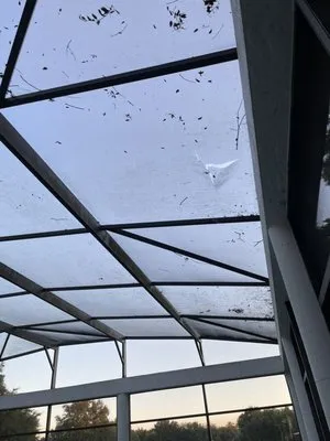 Mini Moe’s Tree Service Logo