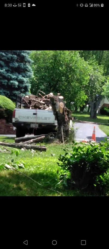 Custom lawn mowing service for outdoor upgrades in Culpeper, VA by Minifields Services