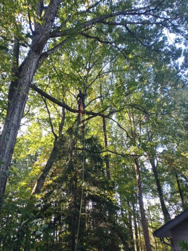 Local lawn care service in Culpeper, VA - Minifields Services