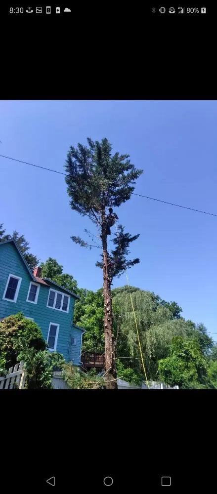 Affordable landscape installation in Culpeper, VA - Minifields Services