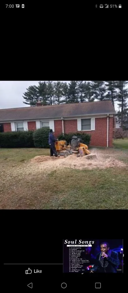 Local garden landscaping in Culpeper, VA - Minifields Services