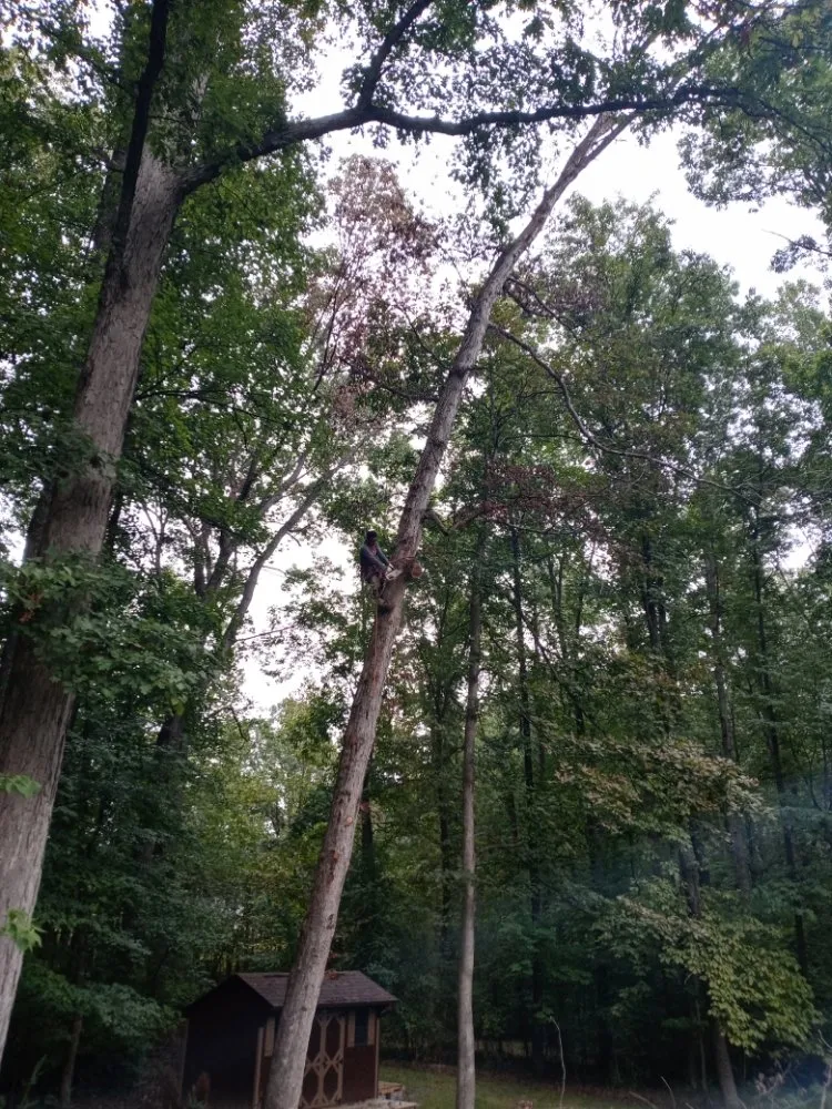 Top-rated landscape design in Culpeper, VA by Minifields Services