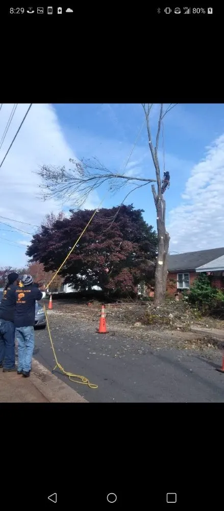 Expert residential landscaping in Culpeper, VA by Minifields Services