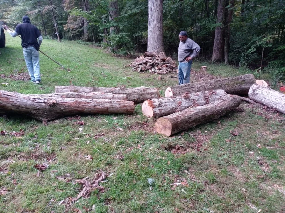 Expert landscape installation in Culpeper, VA - Minifields Services