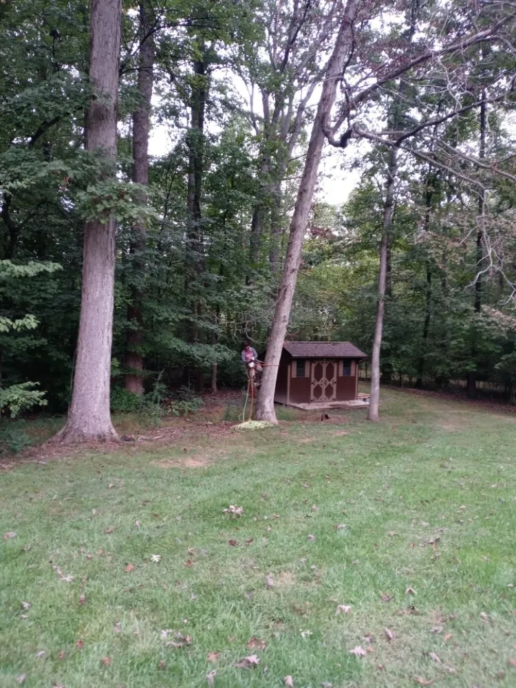 Trusted garden landscaping in Culpeper, VA - Minifields Services