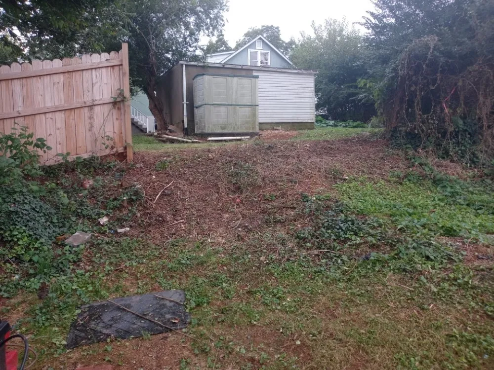 Professional landscape design for outdoor upgrades across Culpeper, VA - Minifields Services