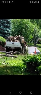 Minifields Services Logo