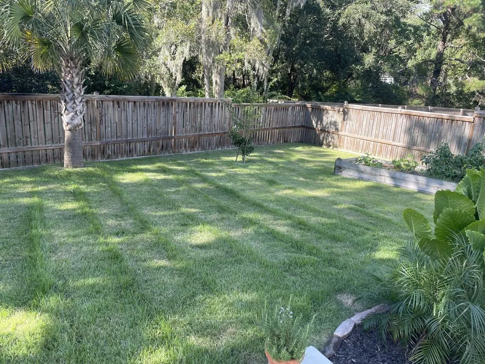 Custom outdoor landscaping with custom design across Mount Pleasant, SC - Minimal landscaping