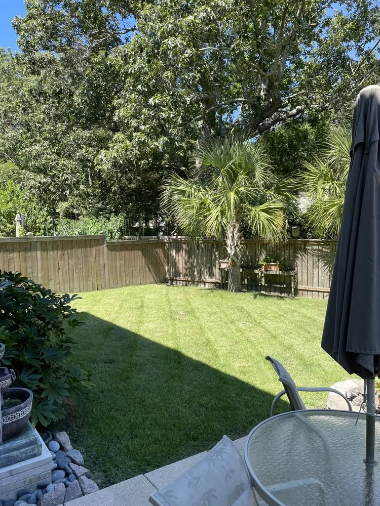 Top-rated landscape installation in Mount Pleasant, SC - Minimal landscaping