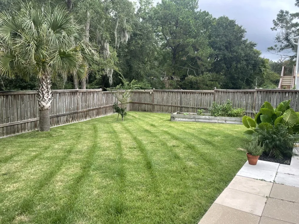 Local landscape design for beautiful yards in Mount Pleasant, SC by Minimal landscaping