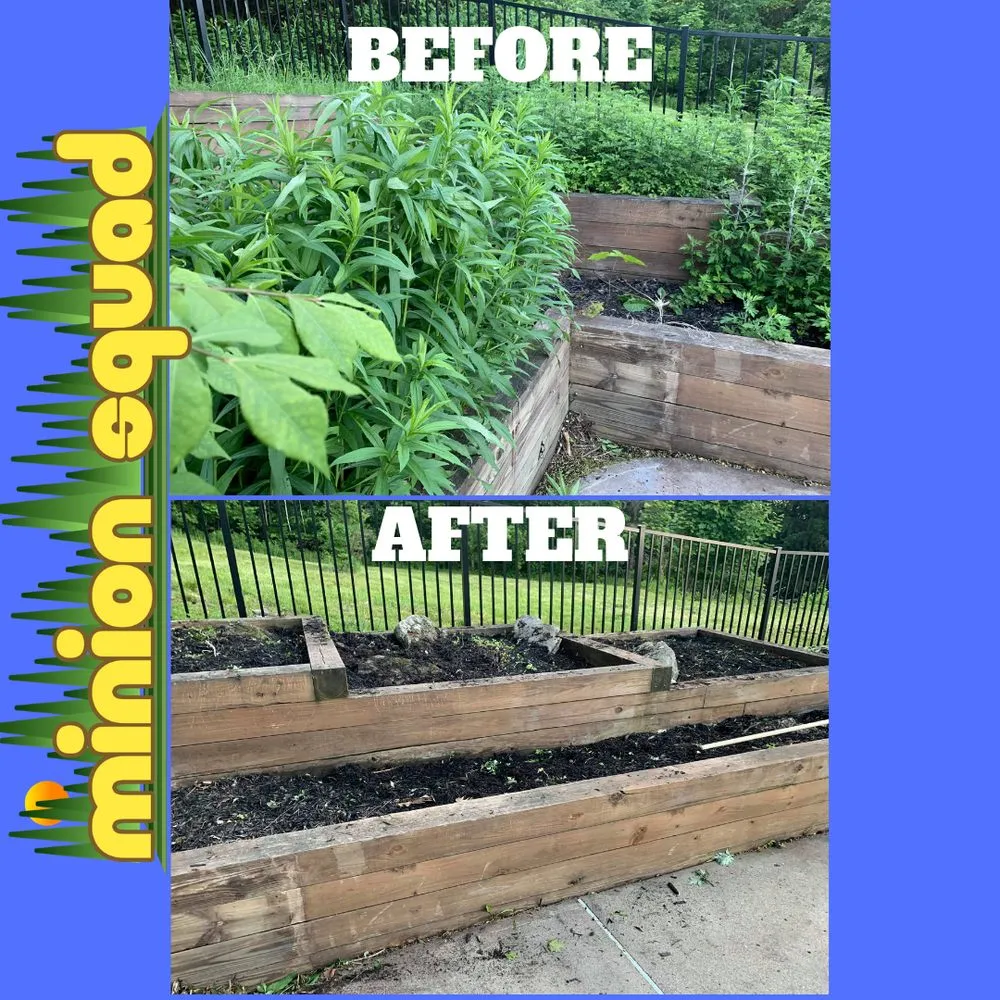 Reliable landscape design in Rensselaer, NY - Minion Squad