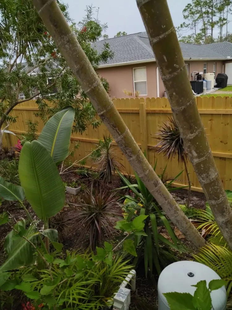 Trusted residential landscaping in Port Charlotte, FL by Minions Handyman Services