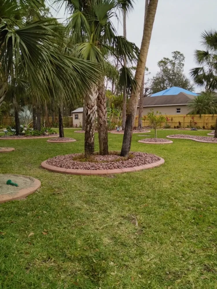 Local landscape installation in Port Charlotte, FL by Minions Handyman Services