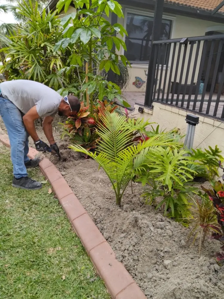 Expert landscaping services in Port Charlotte, FL - Minions Handyman Services