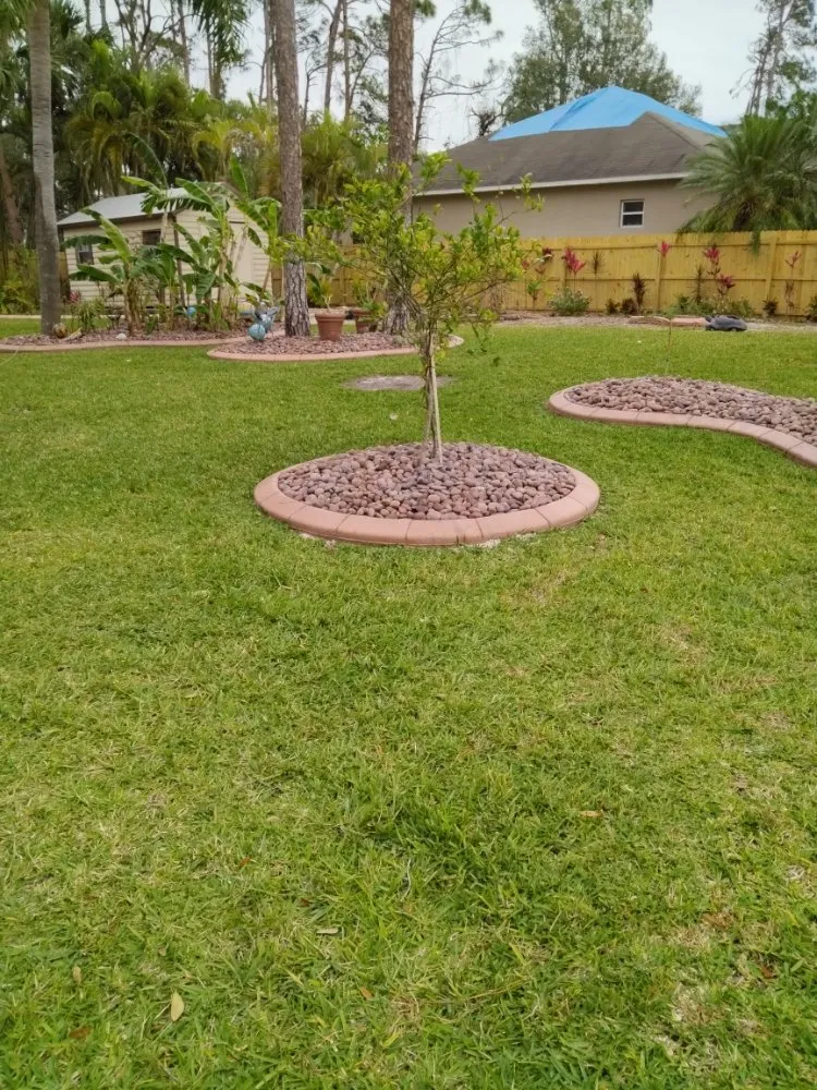 Affordable yard maintenance in Port Charlotte, FL - Minions Handyman Services