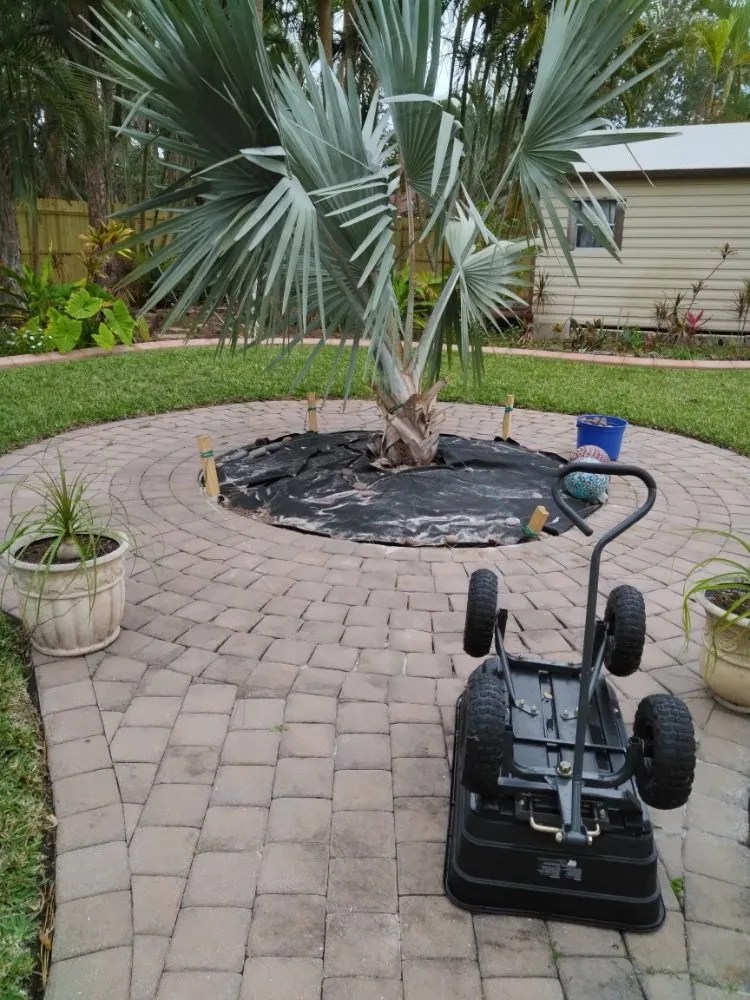 Expert landscape installation in Port Charlotte, FL by Minions Handyman Services