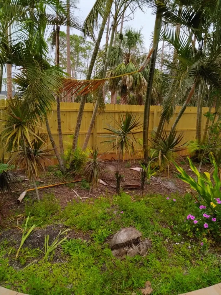 Professional landscaping services in Port Charlotte, FL - Minions Handyman Services