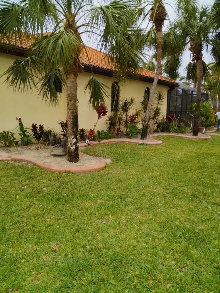 Affordable landscaping services in Port Charlotte, FL by Minions Handyman Services