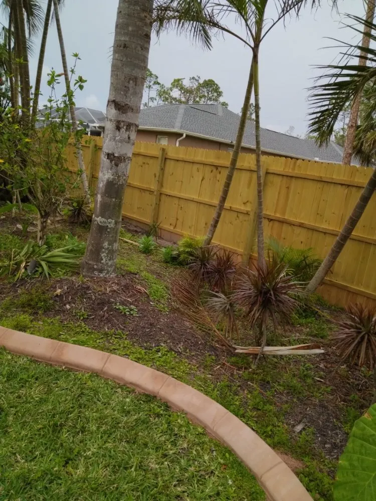 Professional lawn mowing service for year-round maintenance across Port Charlotte, FL - Minions Handyman Services