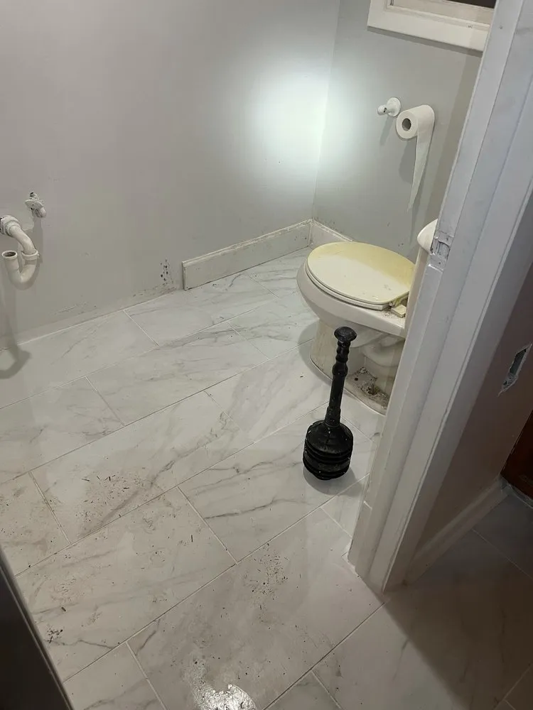 Expert lawn care service for year-round maintenance across Venice, FL - Minions Handyman Services