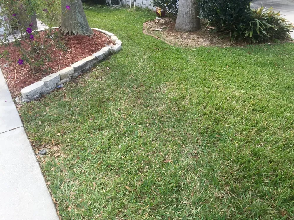 Affordable landscape installation for beautiful yards in Brandon, FL by Minions Lawn Maintenance