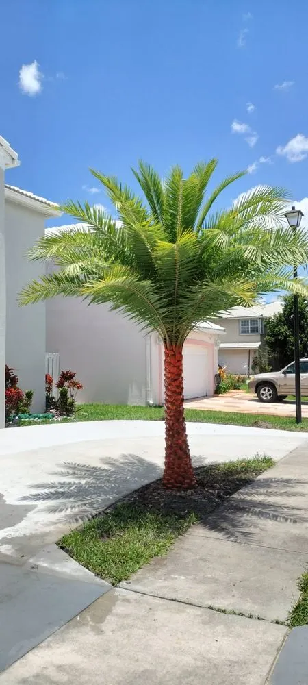 Expert outdoor landscaping for residential properties across Homestead, FL - Miniplants Landscaping