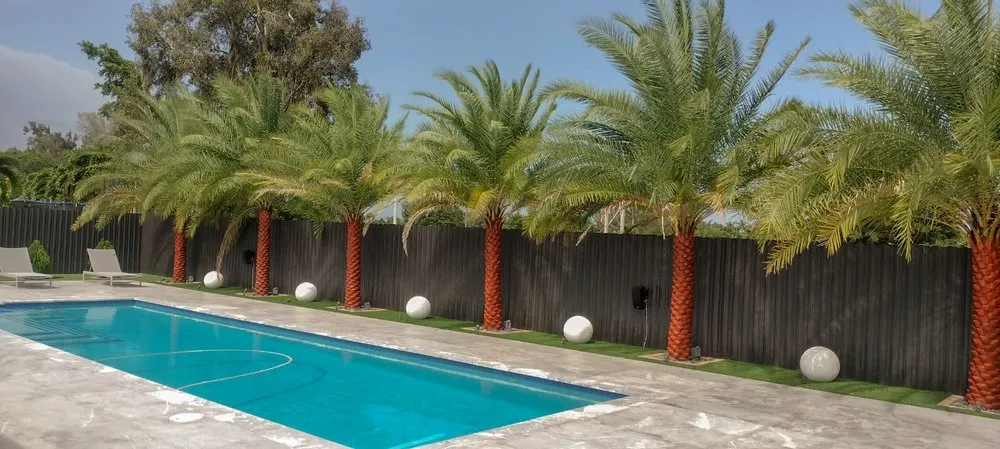 Local yard cleanup service for residential properties across Homestead, FL - Miniplants Landscaping