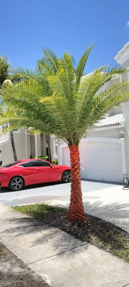 Custom garden landscaping for beautiful yards in Homestead, FL by Miniplants Landscaping