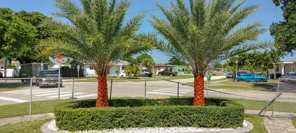 Miniplants Landscaping Logo