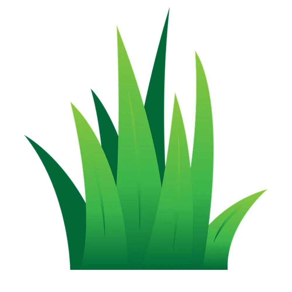 Custom yard cleanup service in Minneapolis, MN - Minneapolis Commercial Lawn and Snow